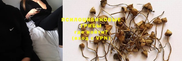 мяу мяу мука Верхнеуральск