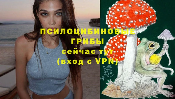 дмт Верхний Тагил