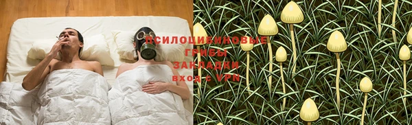 дмт Верхний Тагил