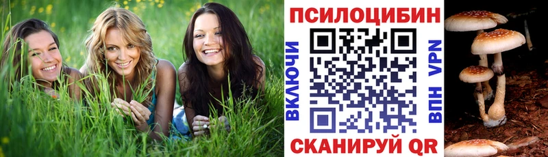 Купить закладки  Фатеж  Псилоцибиновые грибы прущие грибы 