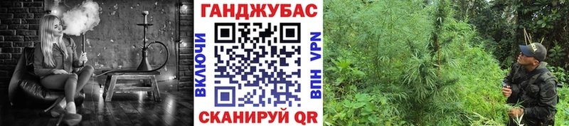 Конопля VHQ  Купить где  Фатеж 